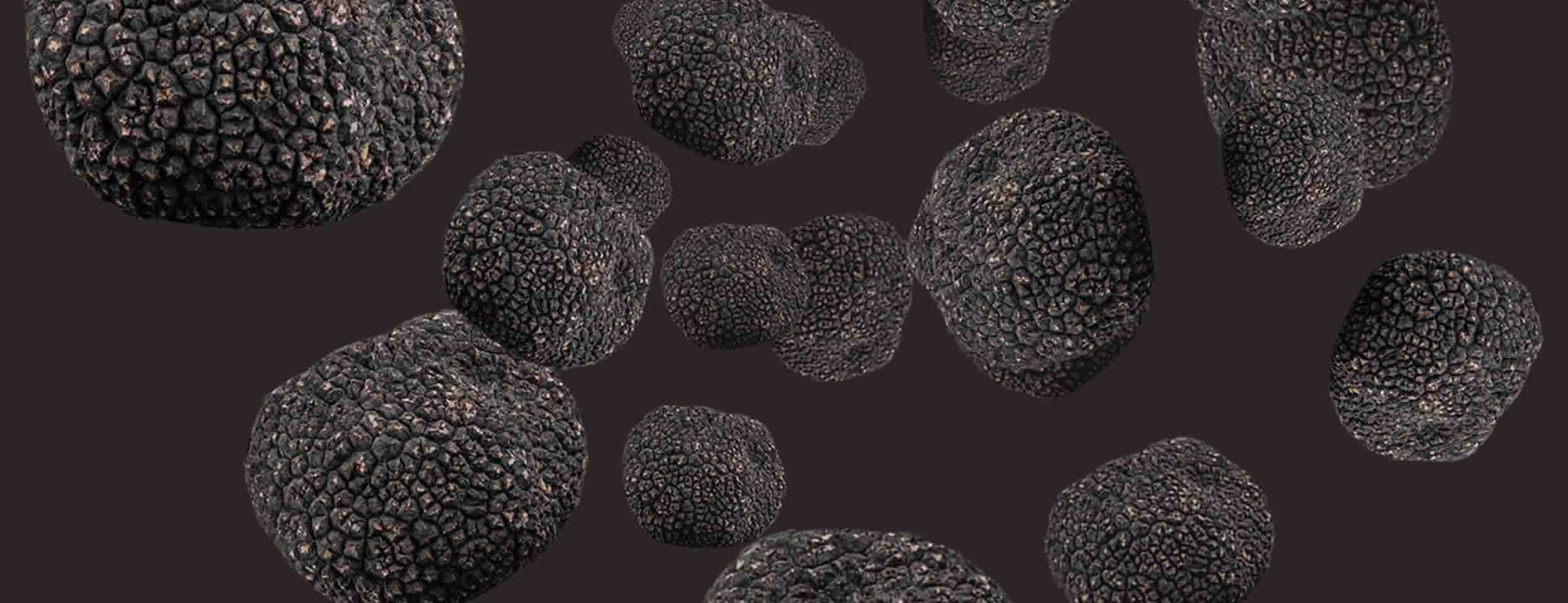 20 Fascinating Facts on How Truffles are Grown